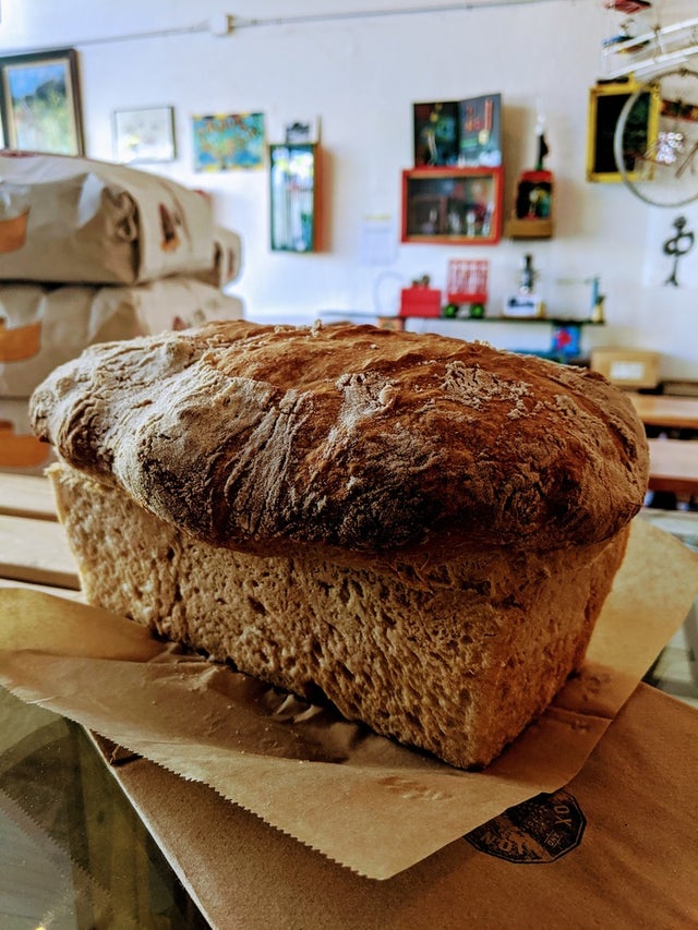 Sourdough Baguettes - Lion's Bread